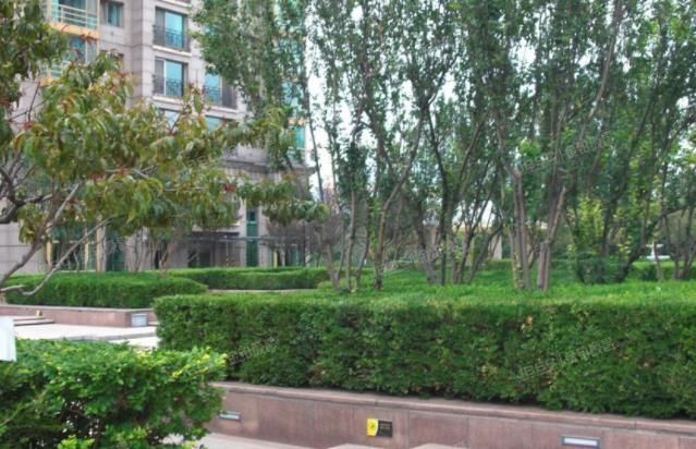 朝阳区 光彩国际公寓1号楼16层19A