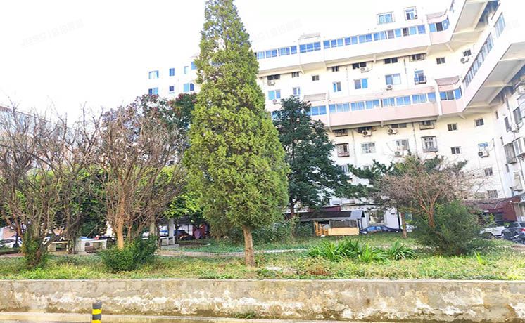 海淀区 新外大街31号院4号楼3层1门303（新外大街31号院）房改房