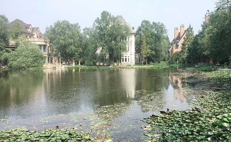 朝阳区 周庄山水文园205号楼-3至2层101