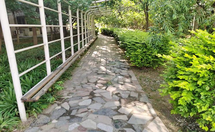 通州区 北苑南路44号8号楼10层8单元1001（日光清城）