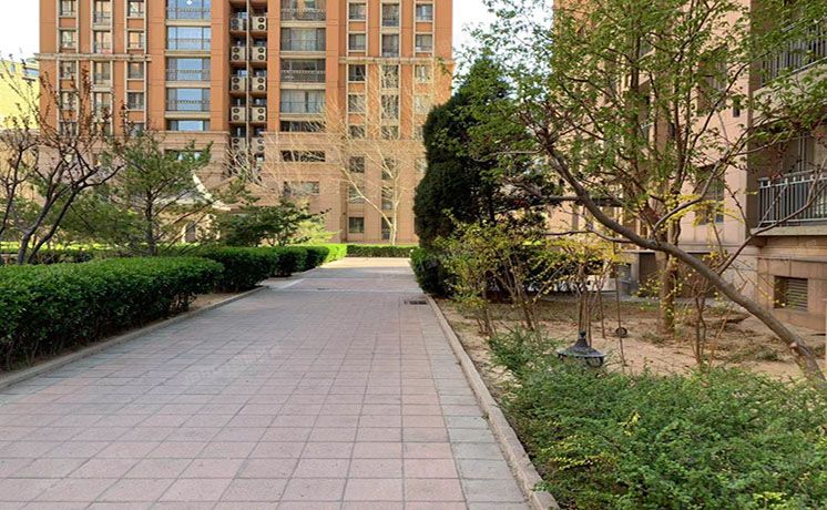 朝阳区 科荟路8号6号楼21层2103（荣尊堡）