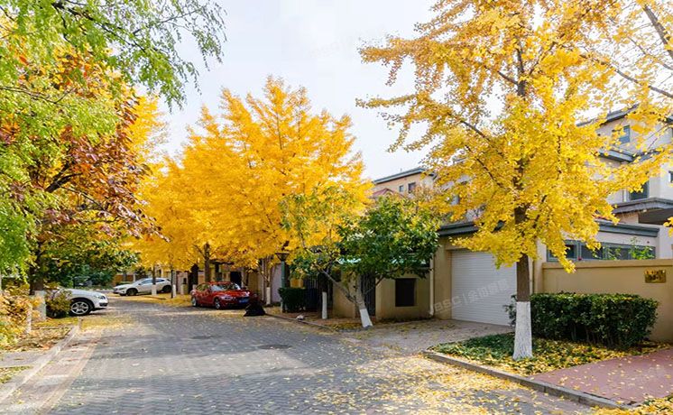 海淀区 雪梨澳乡B区34号楼1至2层34-1  别墅