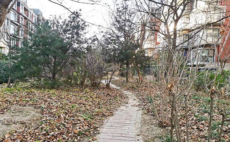 朝阳区 双桥南街9号院4号楼2层3单元202（华美橡树岭）