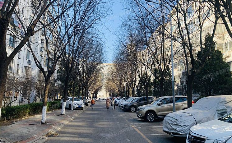 朝阳区 慧忠北里207号楼9单元101号（慧忠北里第二社区）