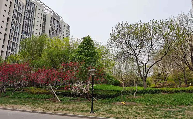 通州区 杨庄北里4号楼5层1单元503（天时名苑）