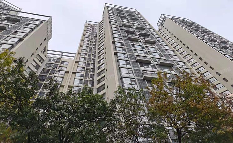 通州区 杨庄北里4号楼5层1单元503（天时名苑）