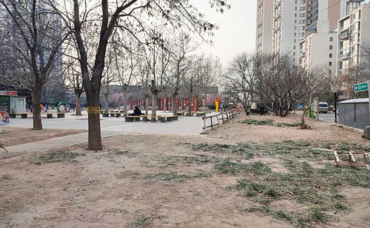 通州区 杨庄北里4号楼5层1单元503（天时名苑）