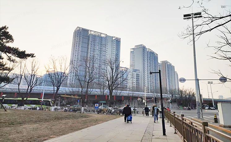 通州区 杨庄北里4号楼5层1单元503（天时名苑）