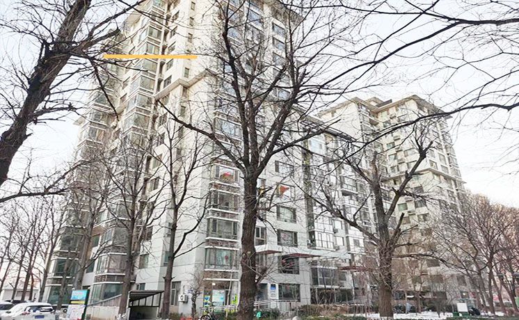 朝阳区 双桥东路12号院16号楼12层3单元1501（东一时区）