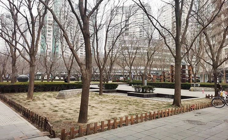 朝阳区 朝阳门外大街6号院20号楼28层3306（新城国际）