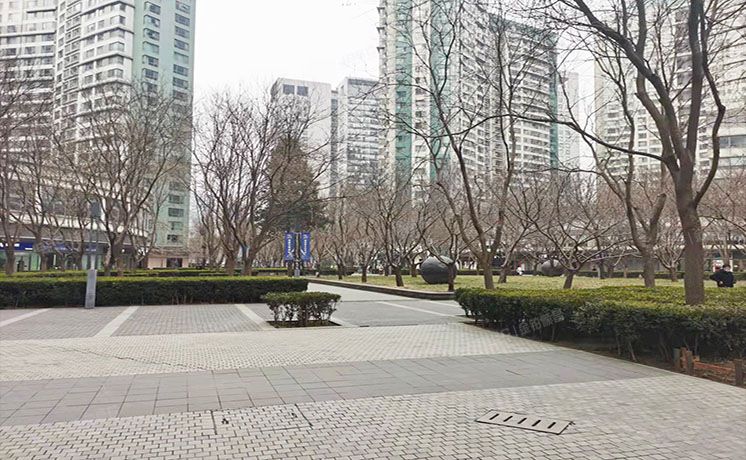 朝阳区 朝阳门外大街6号院20号楼28层3306（新城国际）