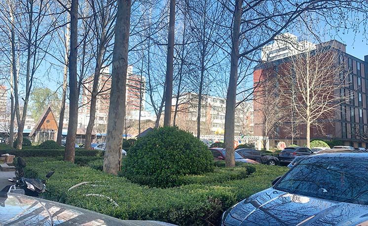 丰台区 恒松园4号楼17层1706号（恒松园）