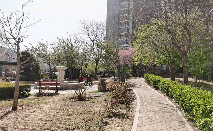 朝阳区 望京西路50号院10号楼19至20层1单元2202（鹿港嘉苑）