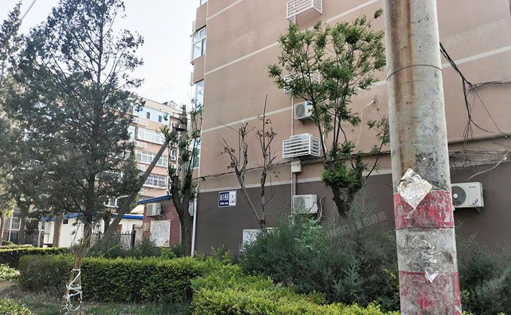 平谷区 平谷镇海关西园19号楼5层(3)-5-9