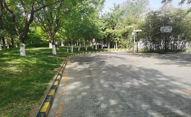 石景山区 庐师山庄9号楼-1至2层03（庐师山庄）联排别墅