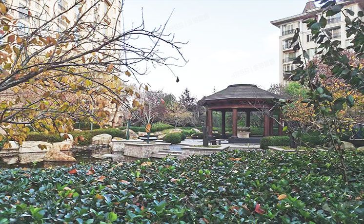 朝阳区 四季星河中街2号院2号楼9层1单元1002（星河湾畅园）