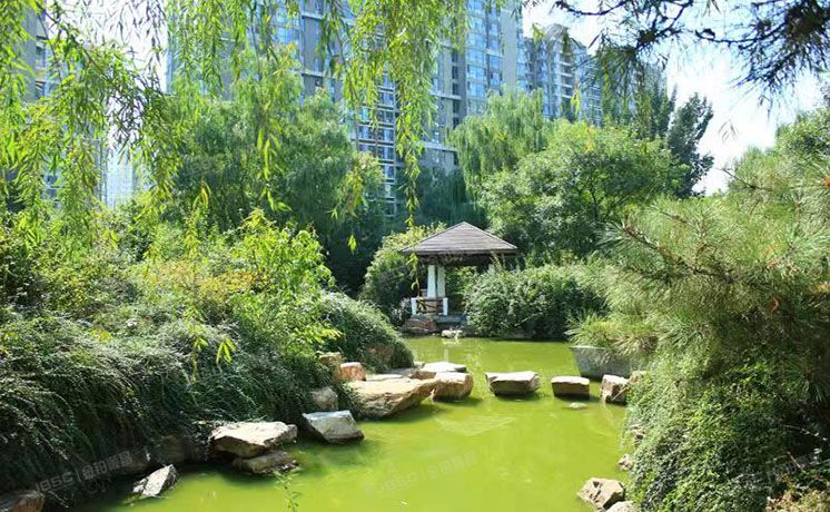 朝阳区 广渠门外大街5号院53号楼12层1506室（富力城）