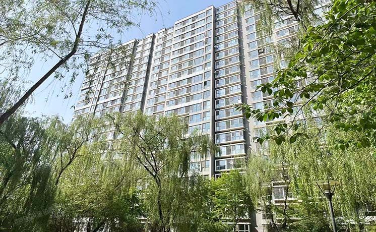 朝阳区 广渠门外大街5号院51号楼3层301（富力城D区）