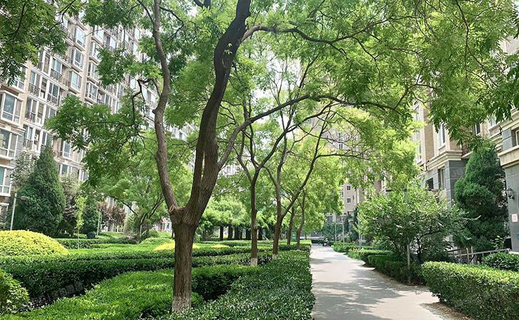 朝阳区 西大望路19号院4号楼6层6单元602（金港国际）