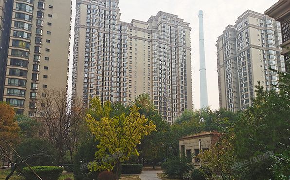 朝阳区 慈云寺1号院1号楼7层705（东区国际）