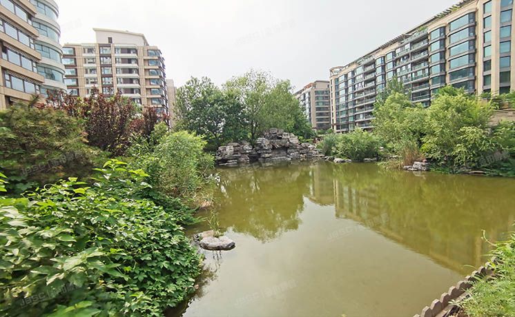 朝阳区 弘燕山水文园20号楼18至19层1801（山水文园）