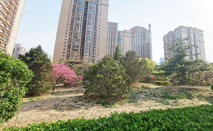 朝阳区 东区国际1号楼7层704