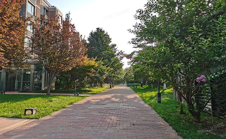 朝阳区 国奥村22号楼5层1单元502