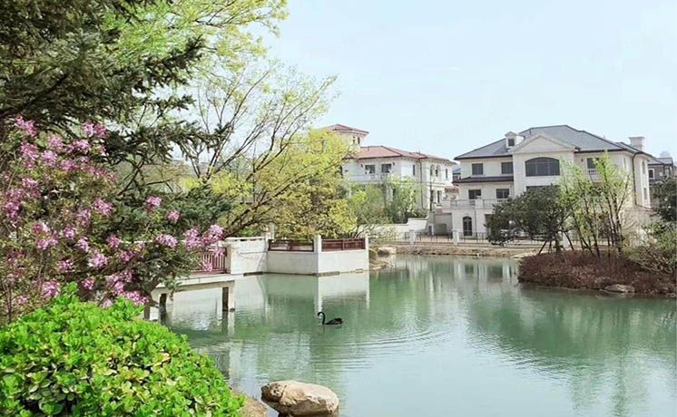 朝阳区 润泽御府728号楼-1至2 独栋