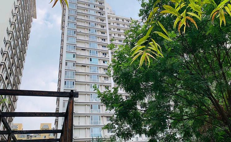 朝阳区 康堡花园1号楼6层3单元601