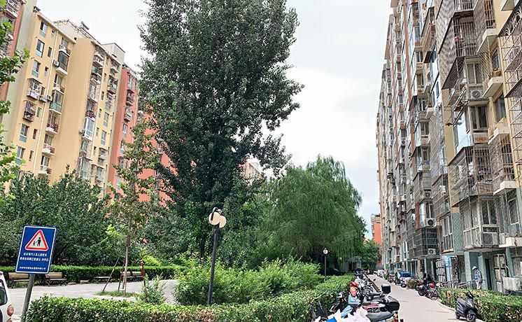 丰台区 怡然家园1号楼4层1-401