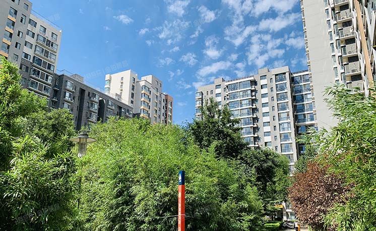 朝阳区 CBD总部公寓二区6号楼8层7单元803号