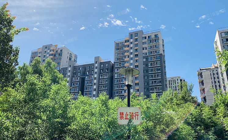 朝阳区 CBD总部公寓二区6号楼8层7单元803号