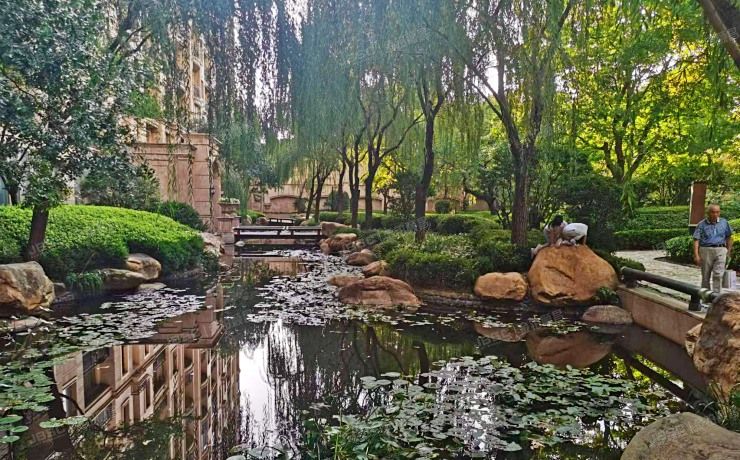 朝阳区 星河湾朗园4号楼11层3单元1202室