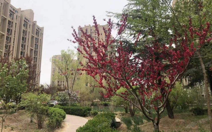 昌平区 龙山华府12号楼11层1单元1101