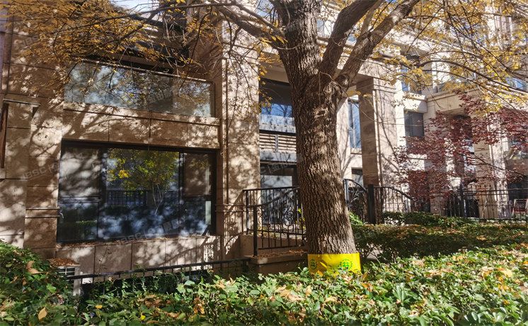 通州区 K2海棠湾125号楼-1至1层2单元102号