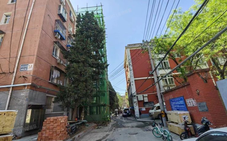 朝阳区 武圣东里14号楼5层1门503