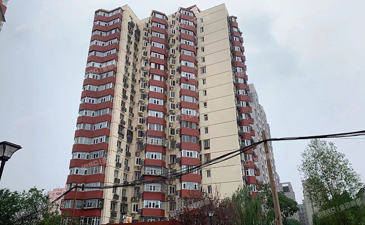 朝阳区八里庄北里115号楼2门233