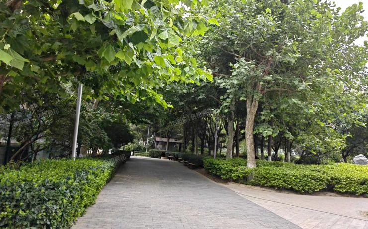 朝阳区西大望路19号院2号楼6层1单元6B（金港国际）