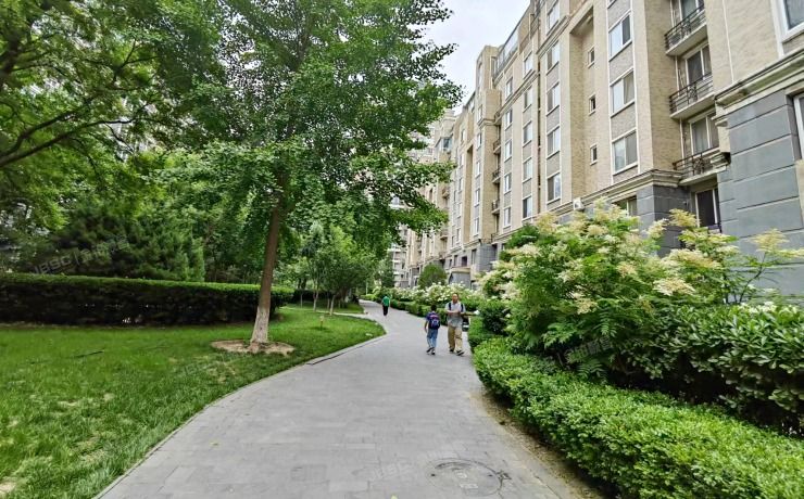 朝阳区西大望路19号院2号楼6层1单元6B（金港国际）