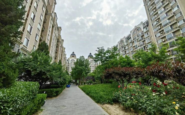 朝阳区西大望路19号院2号楼6层1单元6B（金港国际）