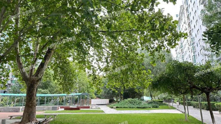 朝阳区 南磨房路39号院1号楼3单元1003室（乐澜宝邸）