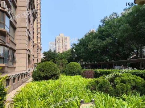 朝阳区 慈云寺1号院3号楼6层608（东区国际）