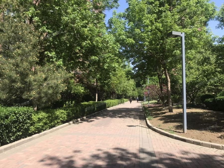 朝阳区 融科橄榄城三期517号楼9层2单元1004号