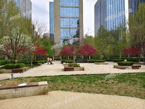 大兴区 北京经济技术开发区荣华北路2号院9号楼10层1001（林肯公园）