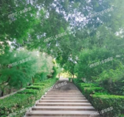 朝阳区 朝外大街6号11号楼12层1606公寓（新城国际）